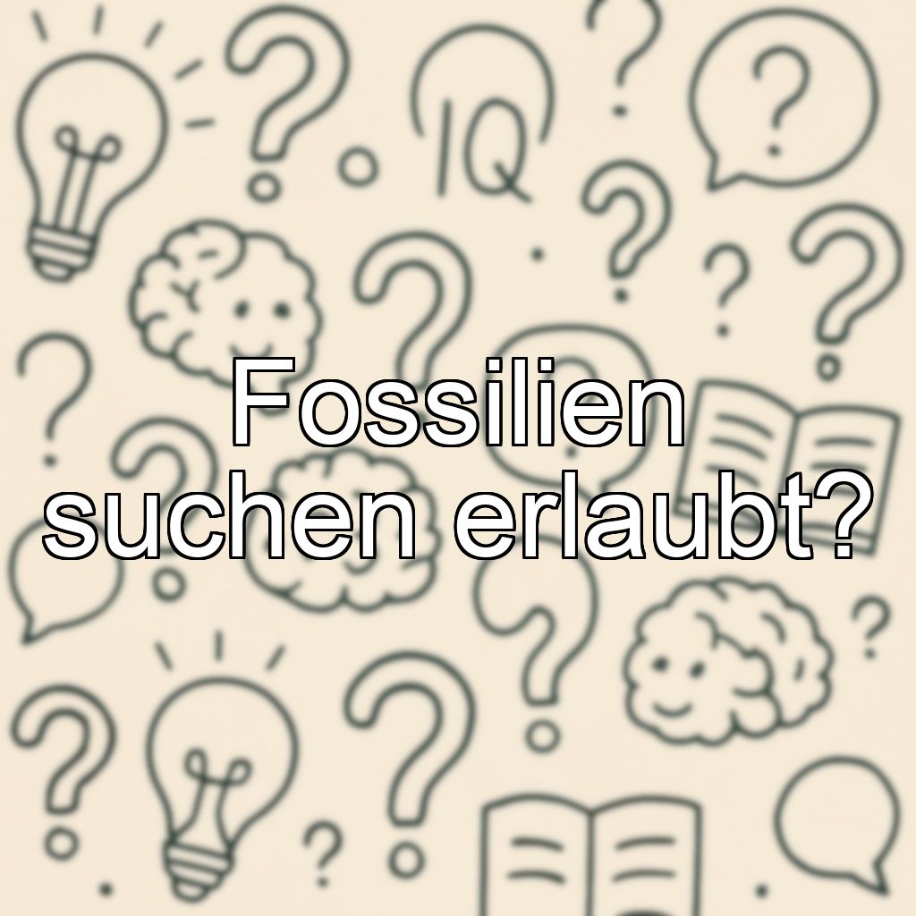 Fossilien suchen erlaubt?