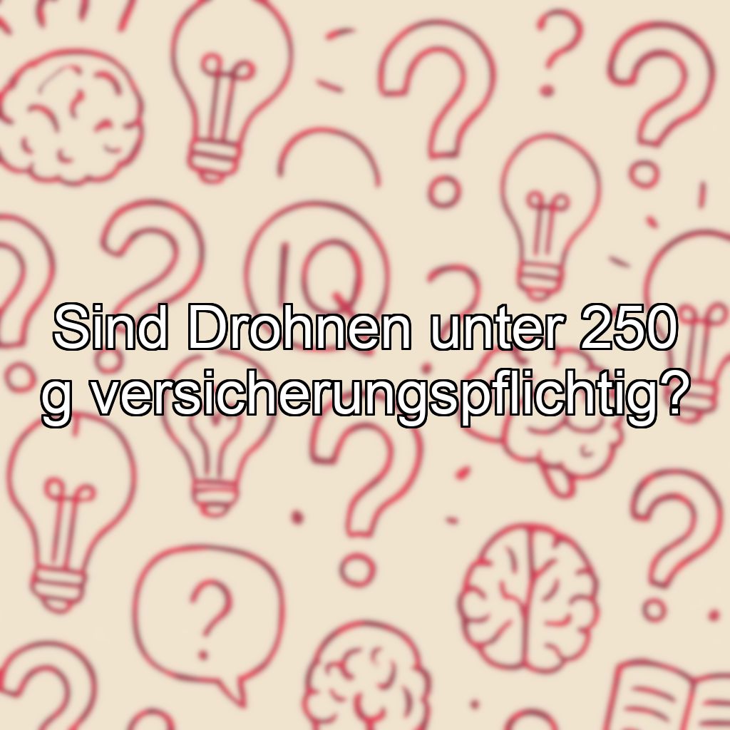 Sind Drohnen unter 250 g versicherungspflichtig?