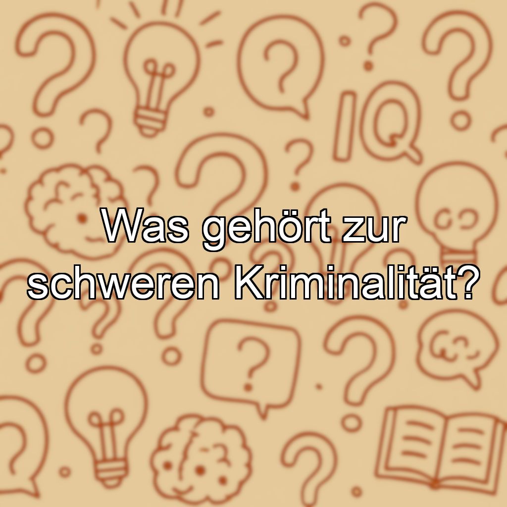 Was gehört zur schweren Kriminalität?