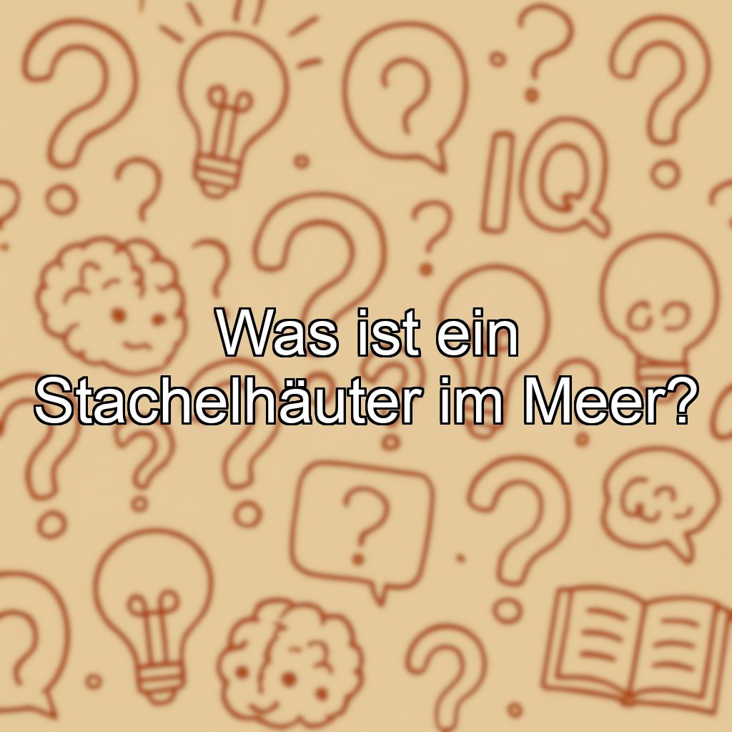 Was ist ein Stachelhäuter im Meer?