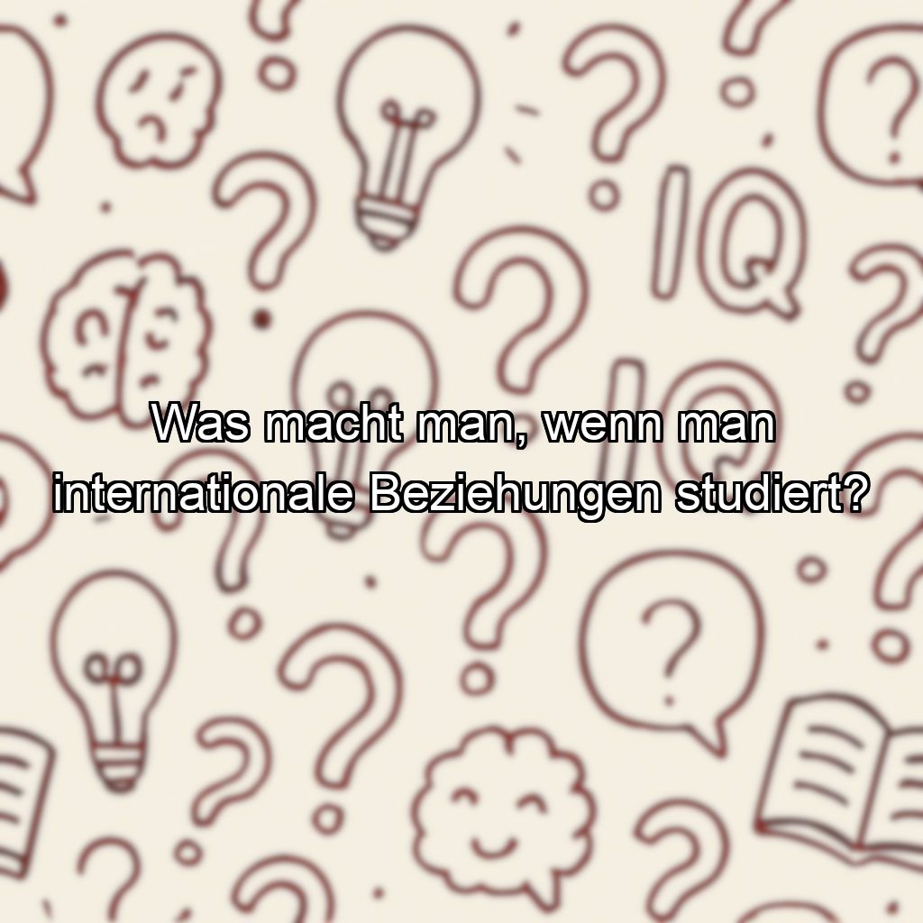 Was macht man, wenn man internationale Beziehungen studiert?