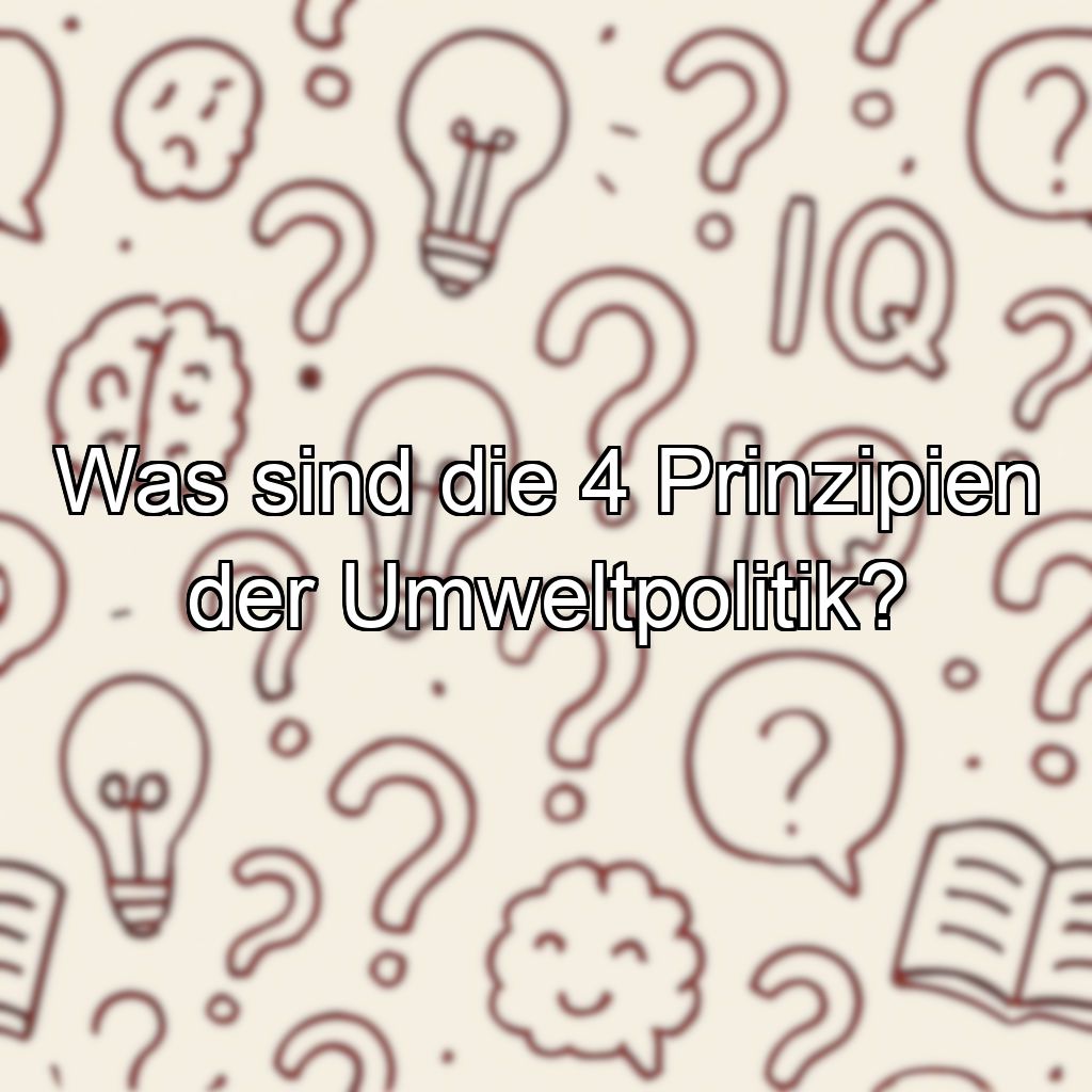 Was sind die 4 Prinzipien der Umweltpolitik?