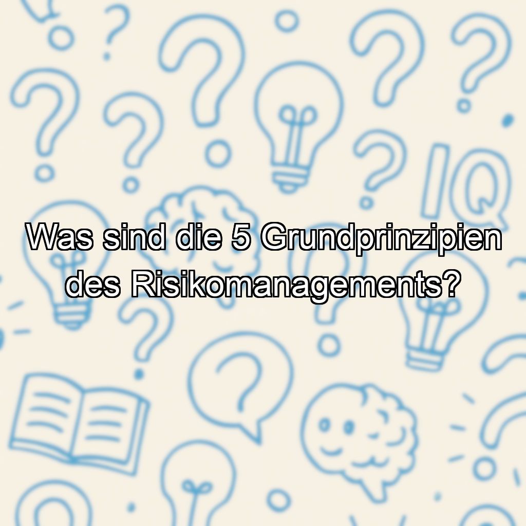 Was sind die 5 Grundprinzipien des Risikomanagements?