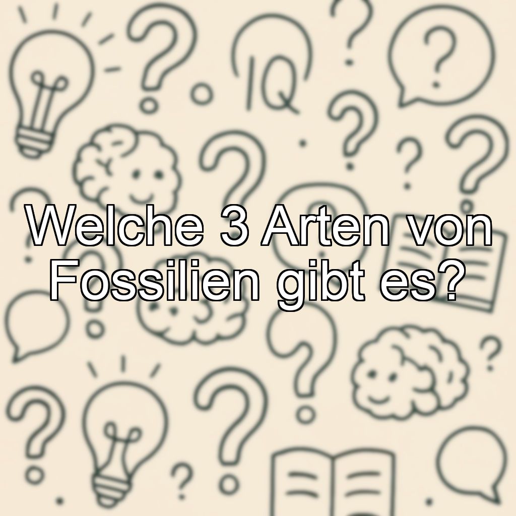 Welche 3 Arten von Fossilien gibt es?