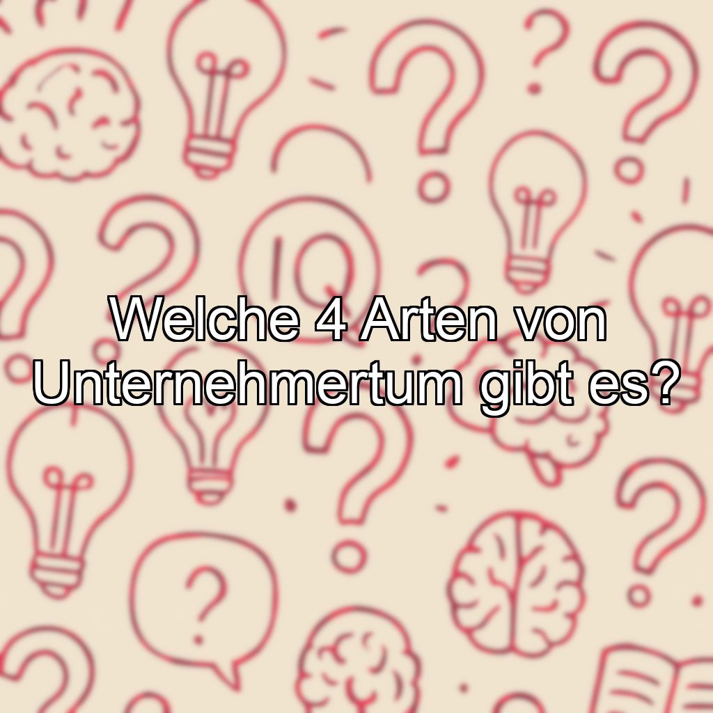 Welche 4 Arten von Unternehmertum gibt es?