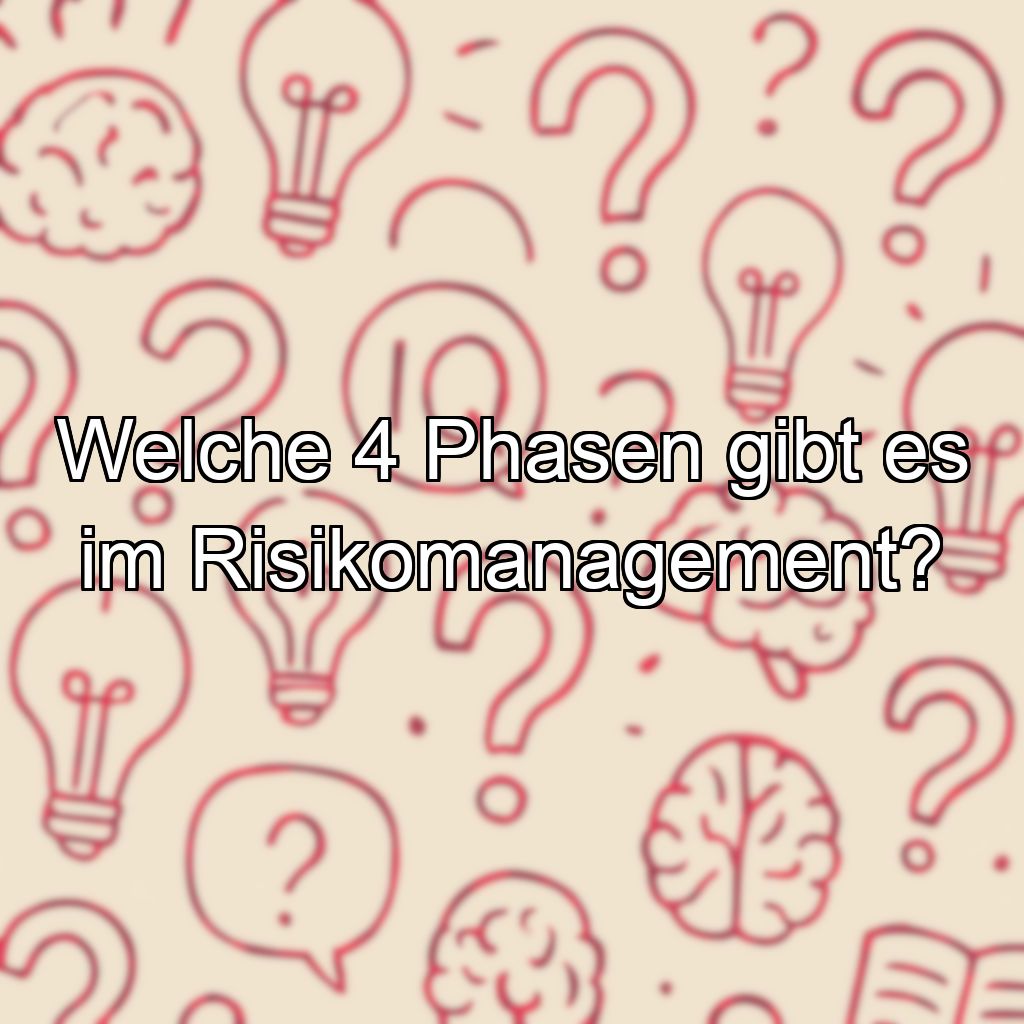 Welche 4 Phasen gibt es im Risikomanagement?