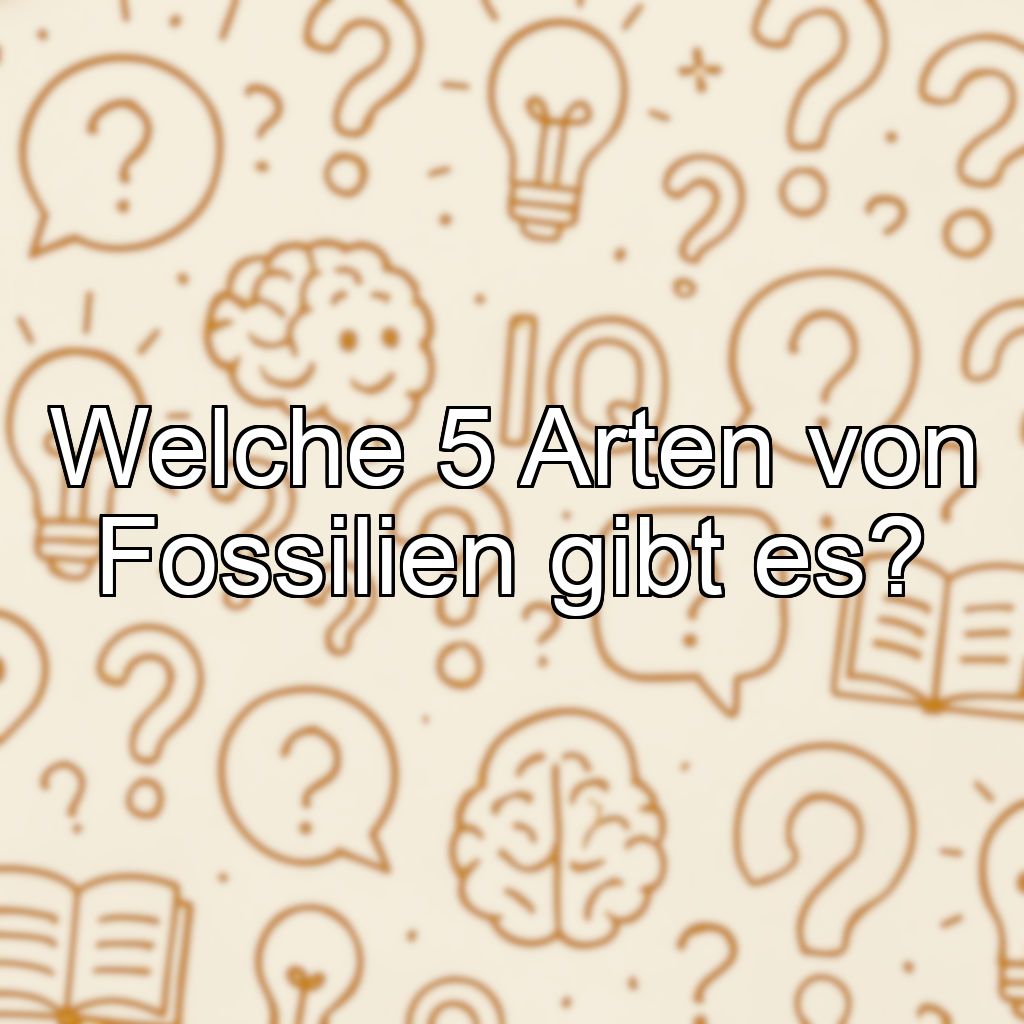 Welche 5 Arten von Fossilien gibt es?