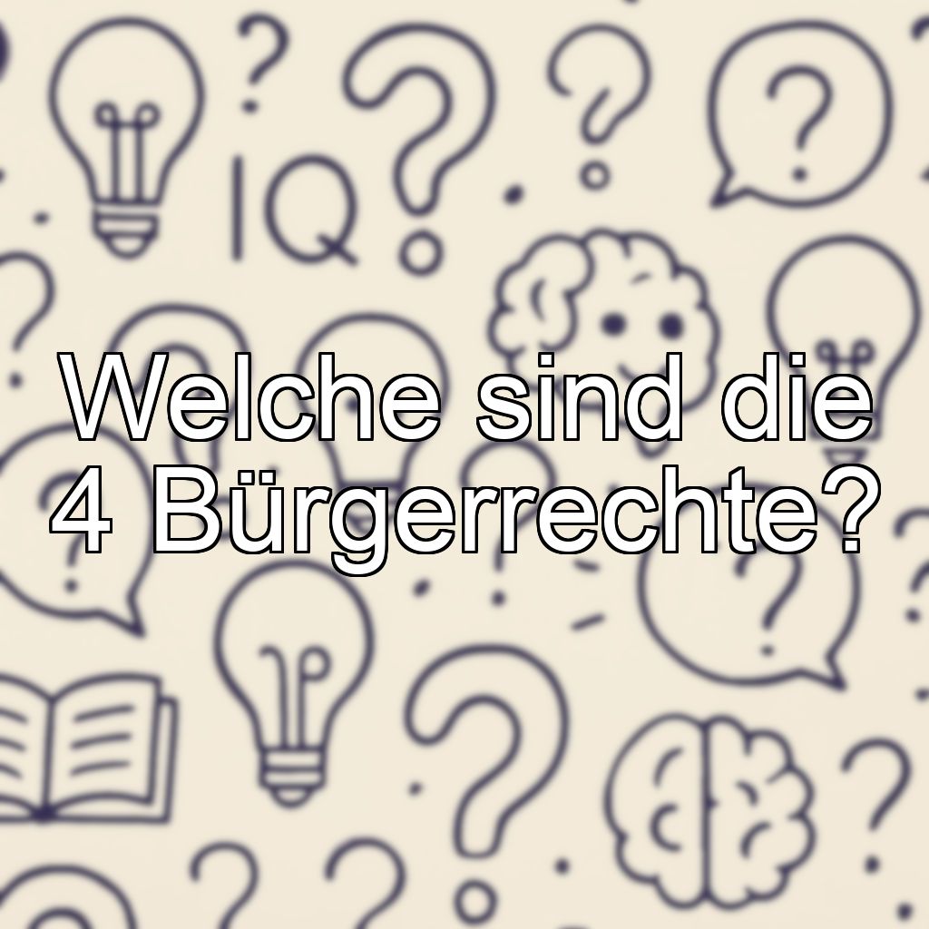Welche sind die 4 Bürgerrechte?
