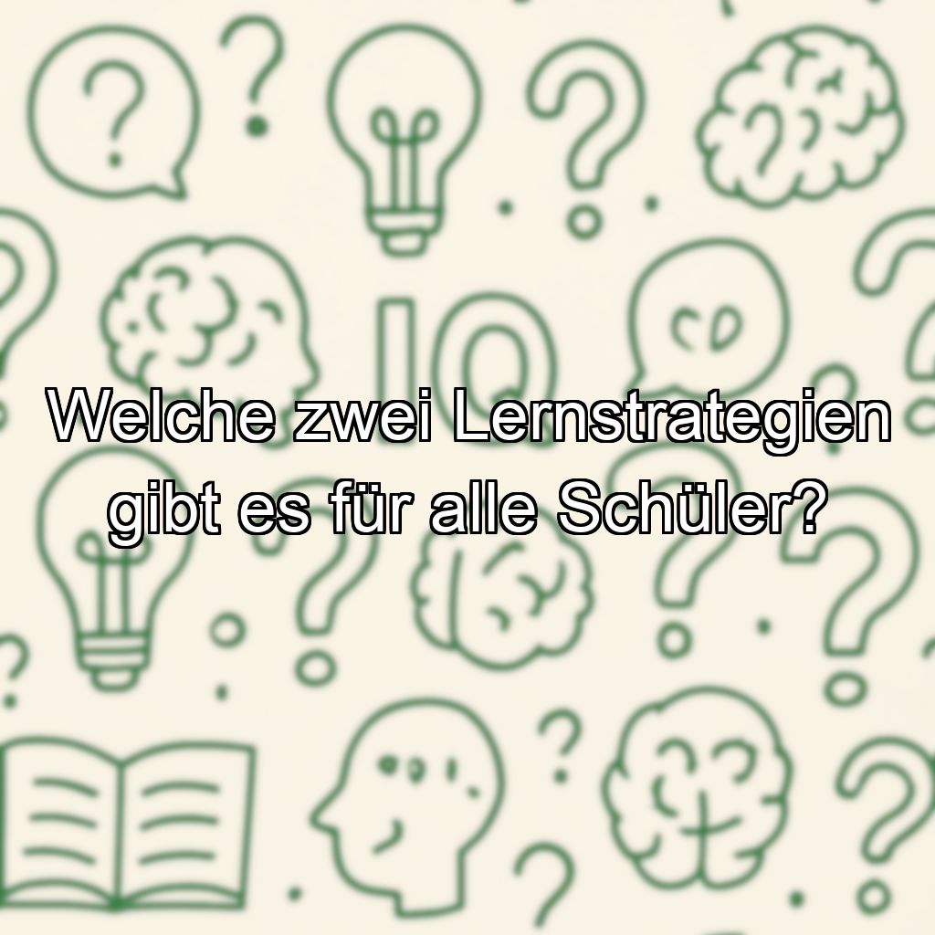 Welche zwei Lernstrategien gibt es für alle Schüler?