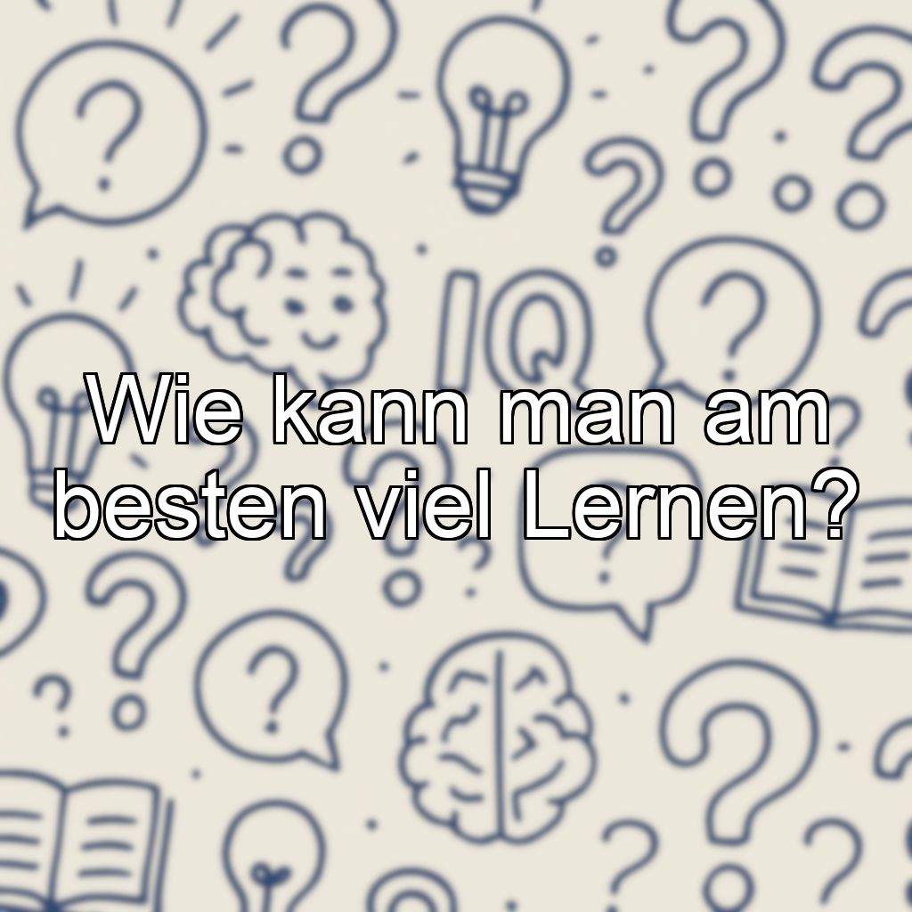 Wie kann man am besten viel Lernen?