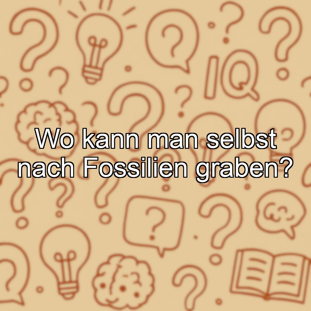 Wo kann man selbst nach Fossilien graben?