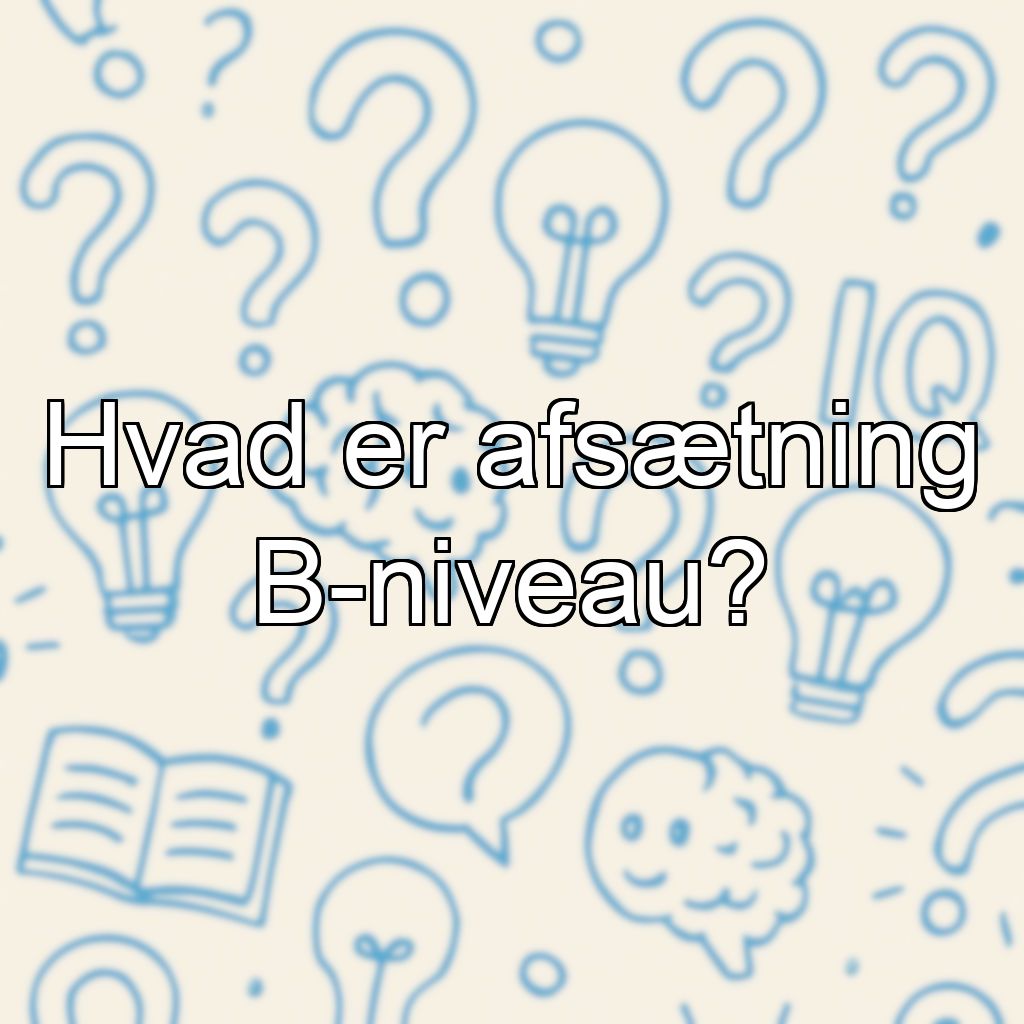 Hvad er afsætning B-niveau?