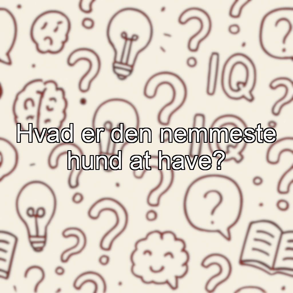Hvad er den nemmeste hund at have?