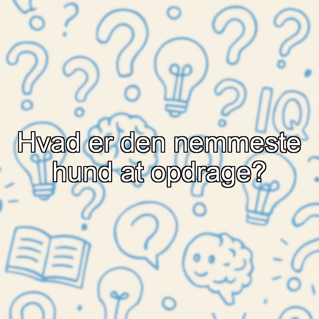 Hvad er den nemmeste hund at opdrage?