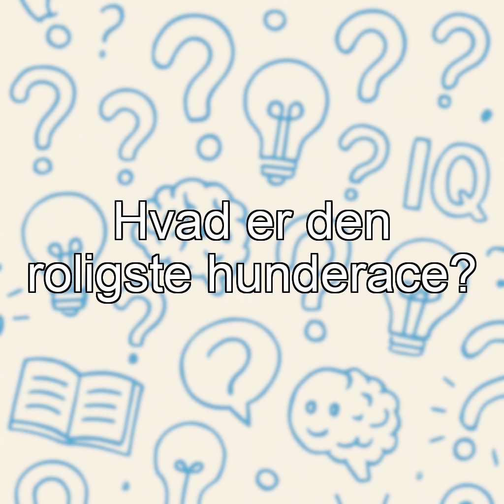 Hvad er den roligste hunderace?