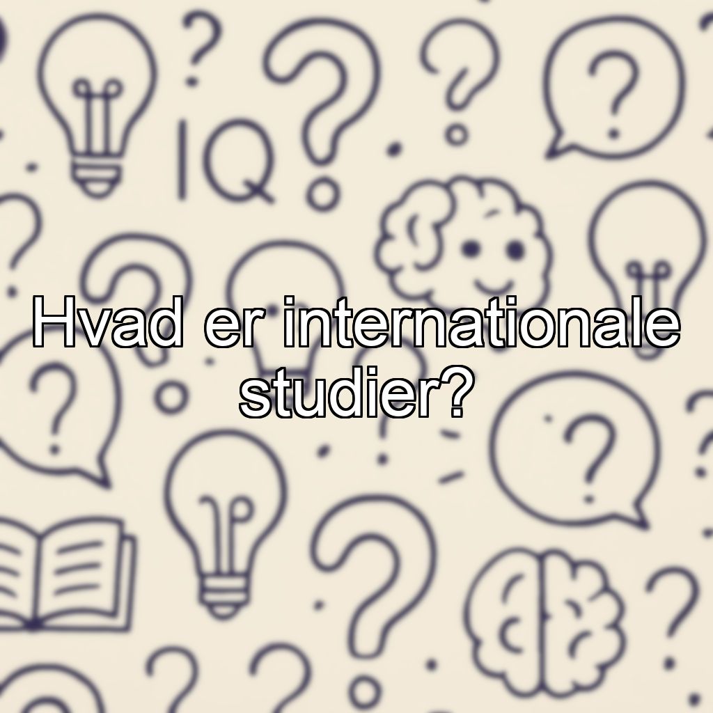 Hvad er internationale studier?