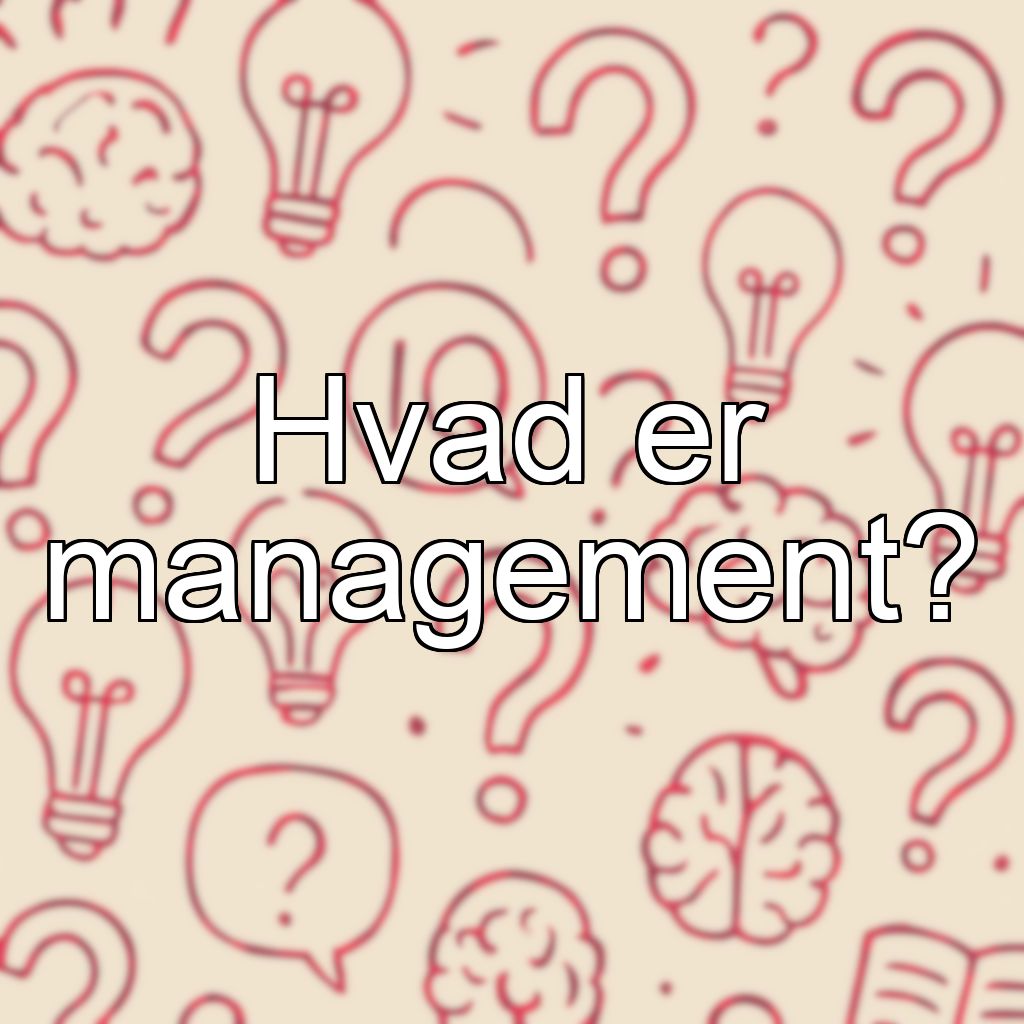 Hvad er management?