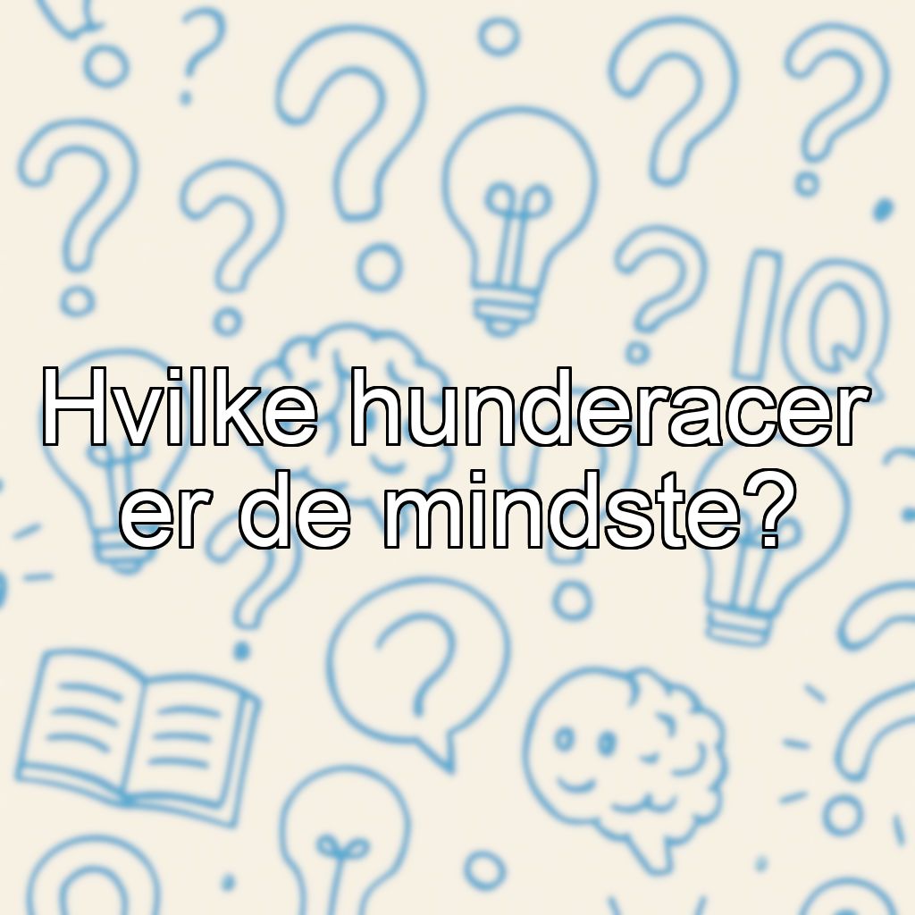 Hvilke hunderacer er de mindste?