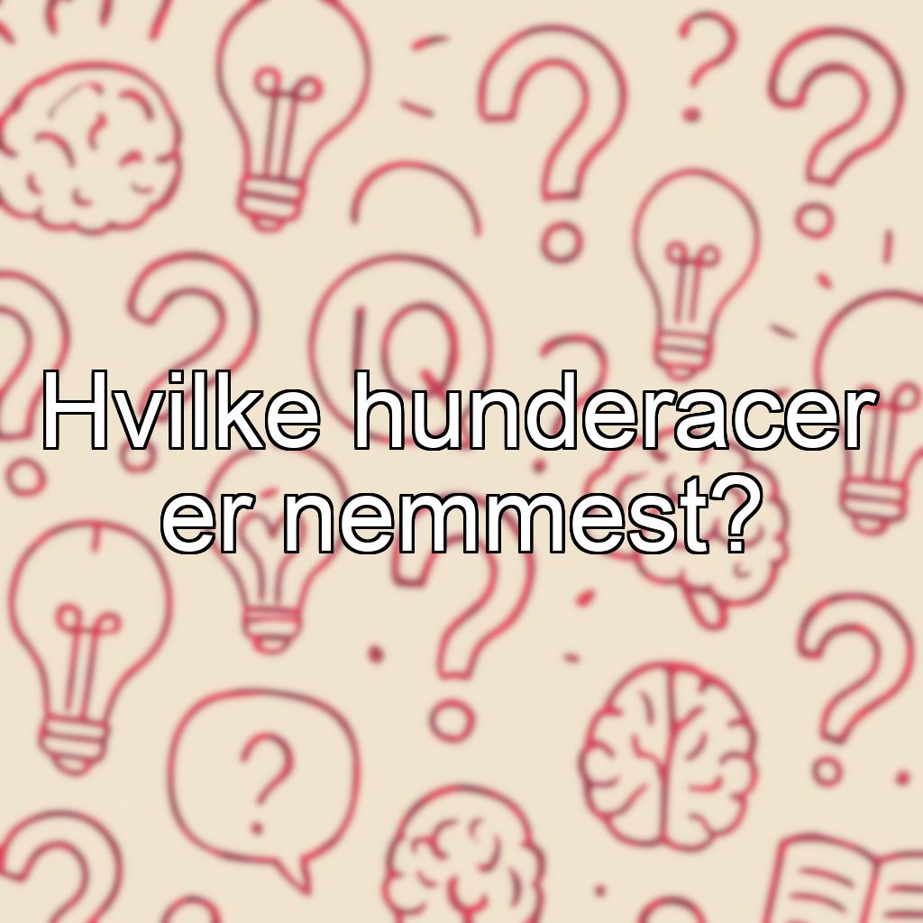 Hvilke hunderacer er nemmest?