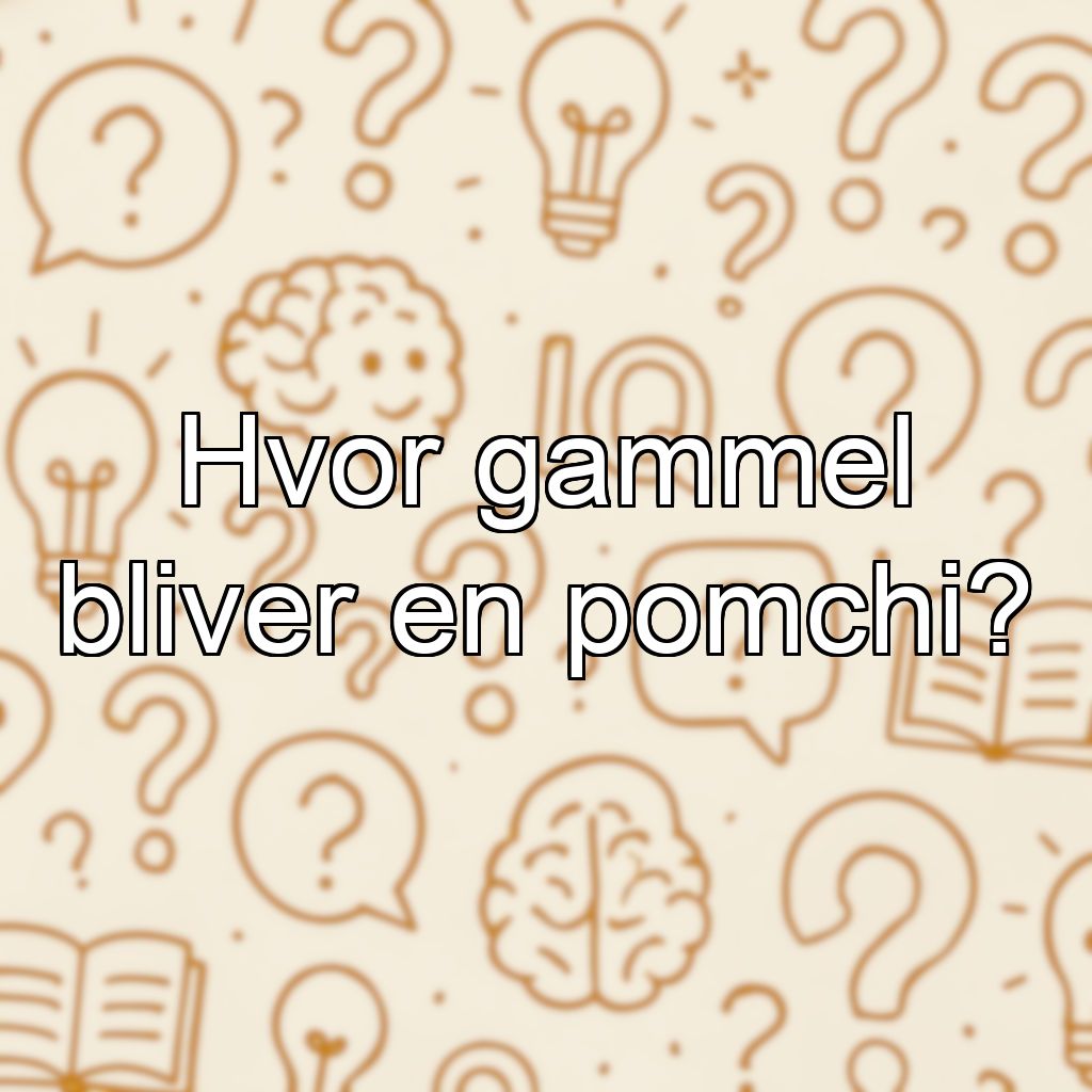 Hvor gammel bliver en pomchi?
