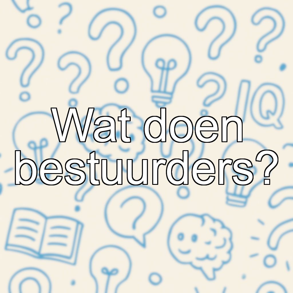 Wat doen bestuurders?