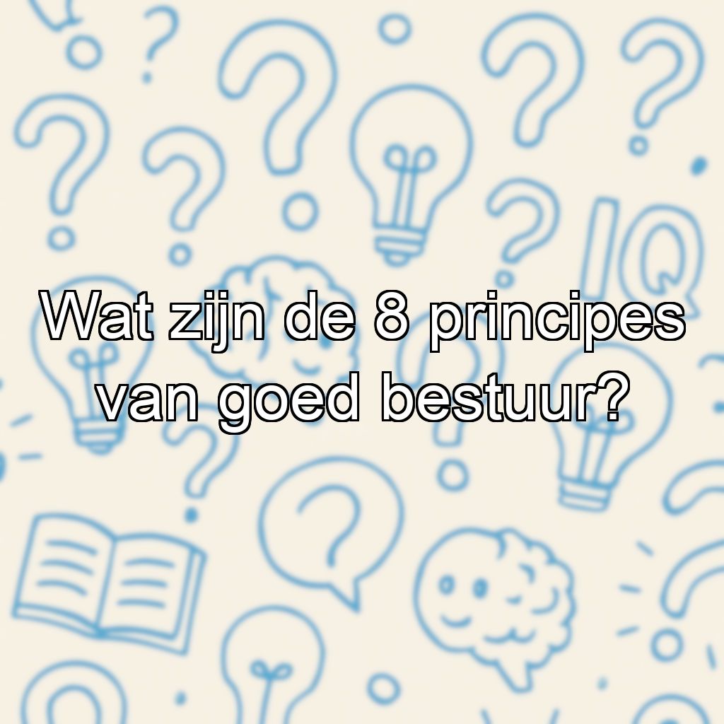 Wat zijn de 8 principes van goed bestuur?