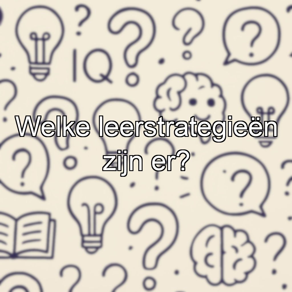 Welke leerstrategieën zijn er?