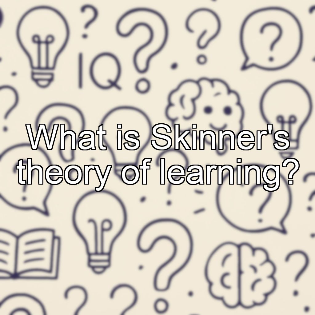 What is Skinner's theory of learning?