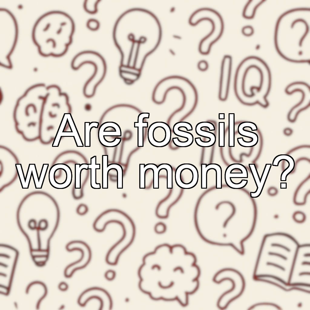 Are fossils worth money?