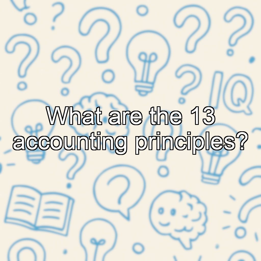 What are the 13 accounting principles?
