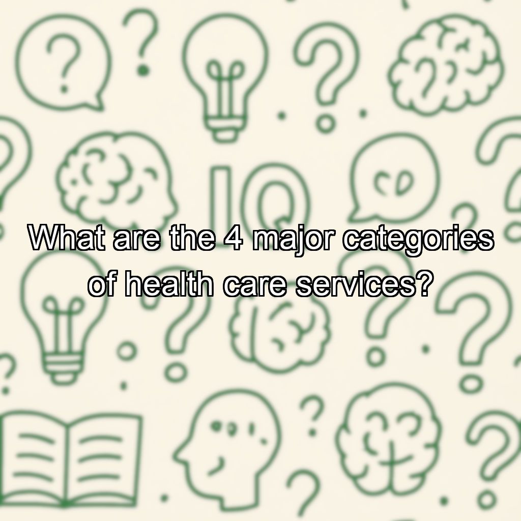 What are the 4 major categories of health care services?