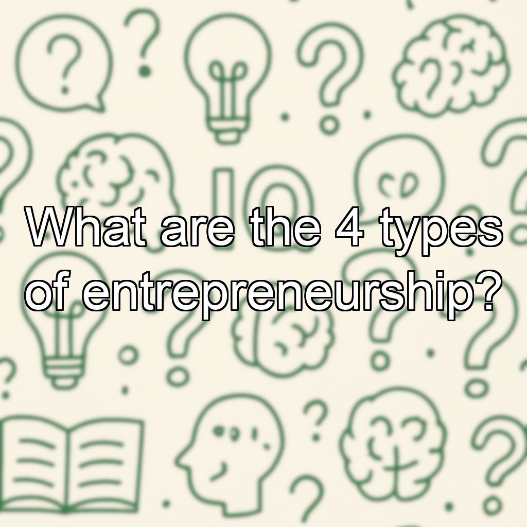 What are the 4 types of entrepreneurship?