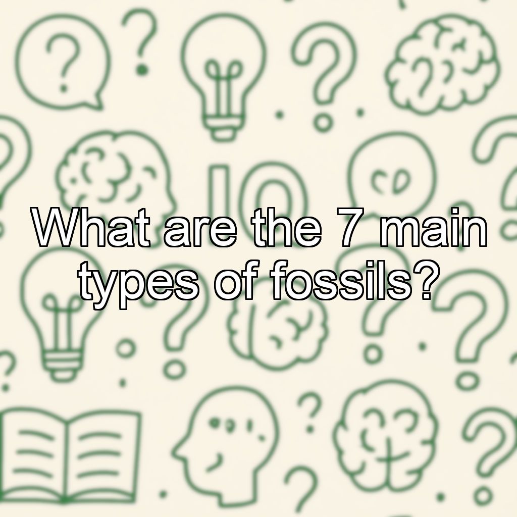 What are the 7 main types of fossils?