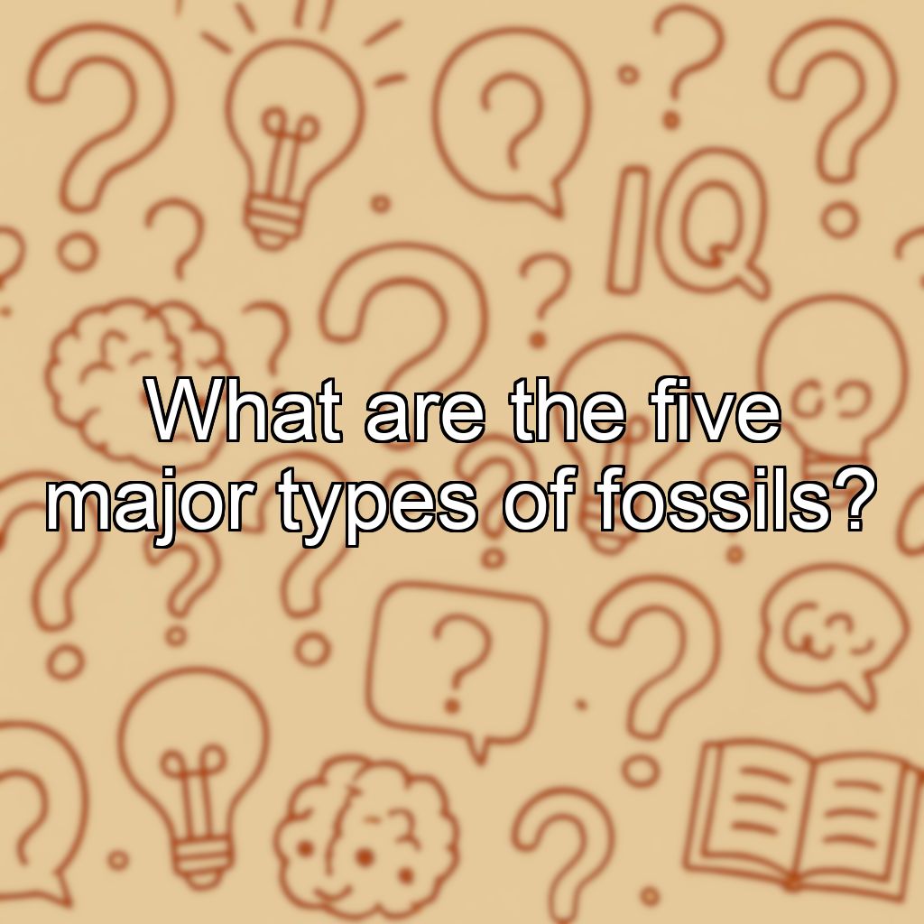 What are the five major types of fossils?