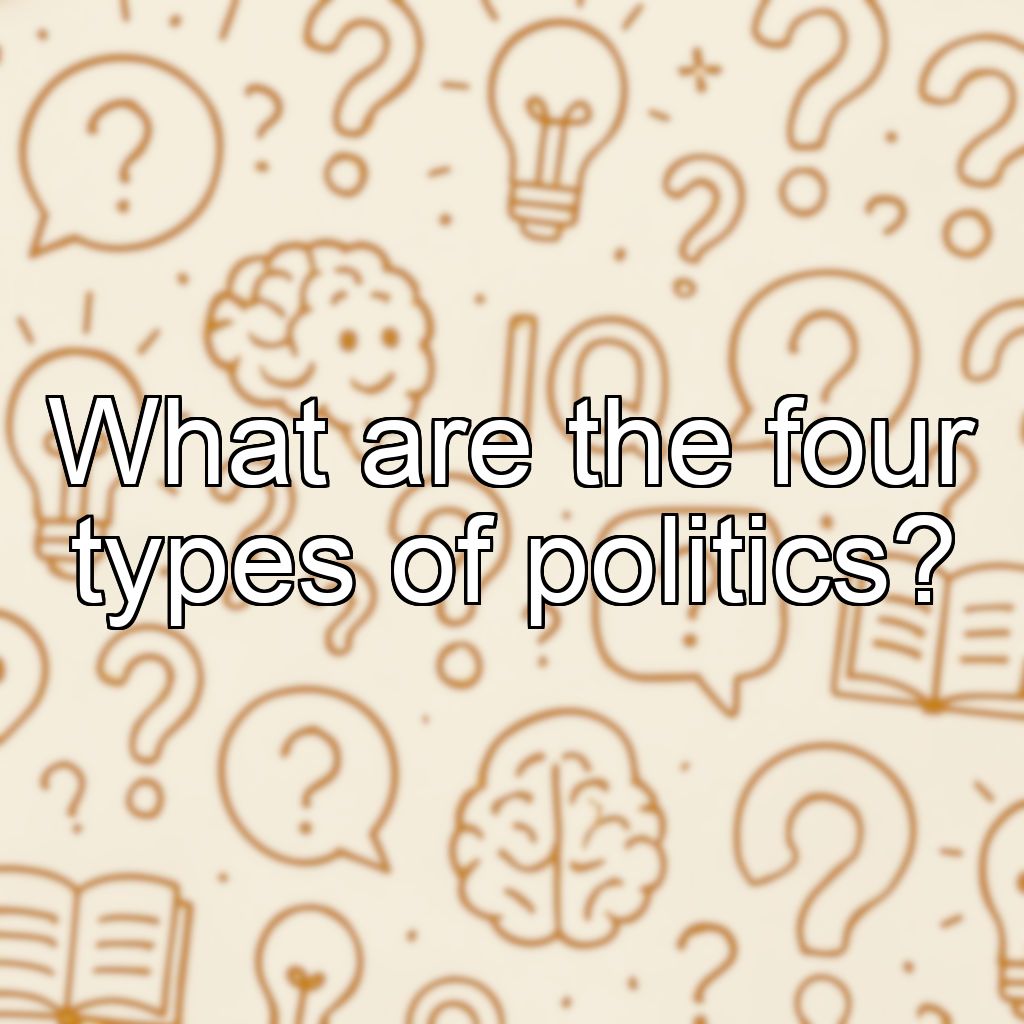 What are the four types of politics?