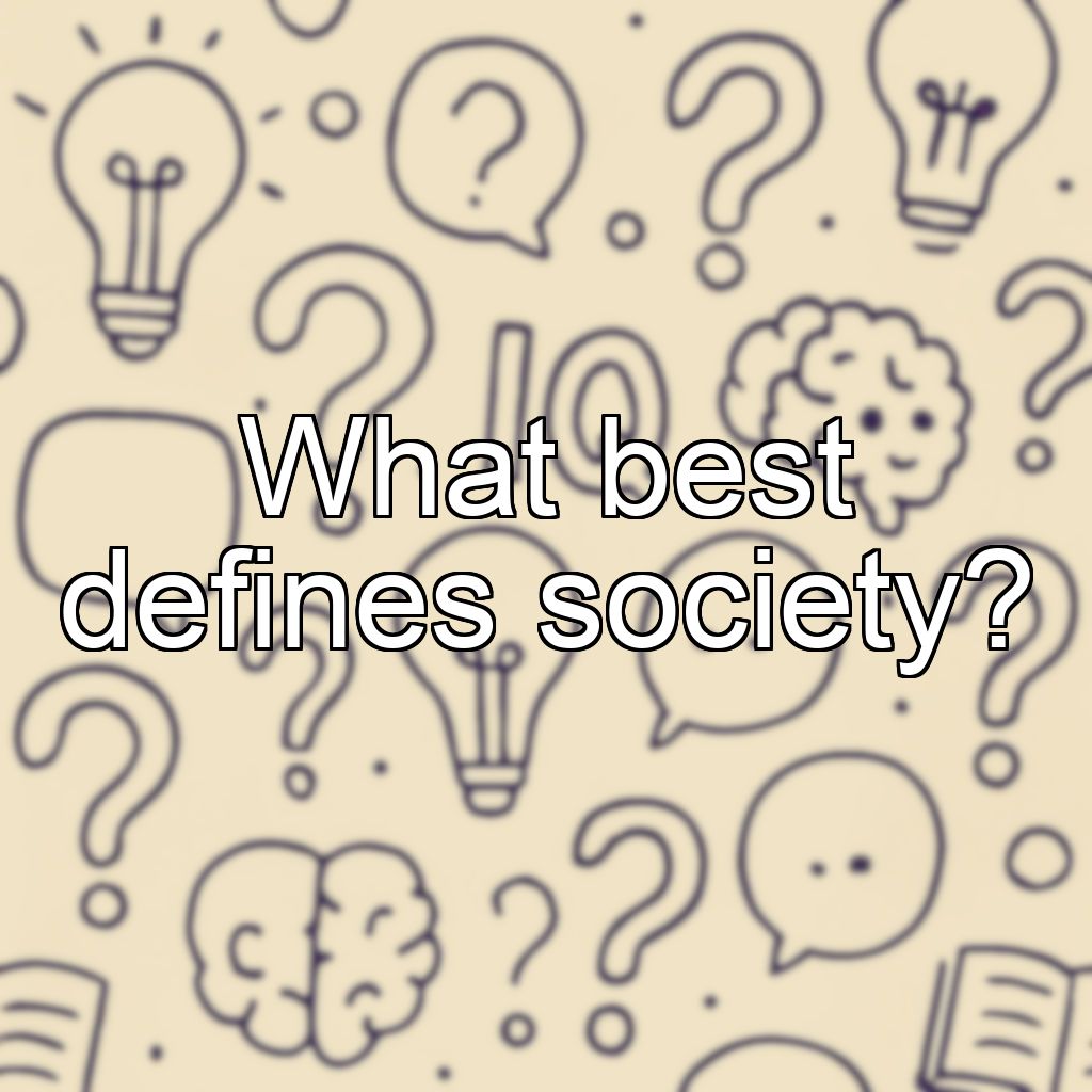 What best defines society?