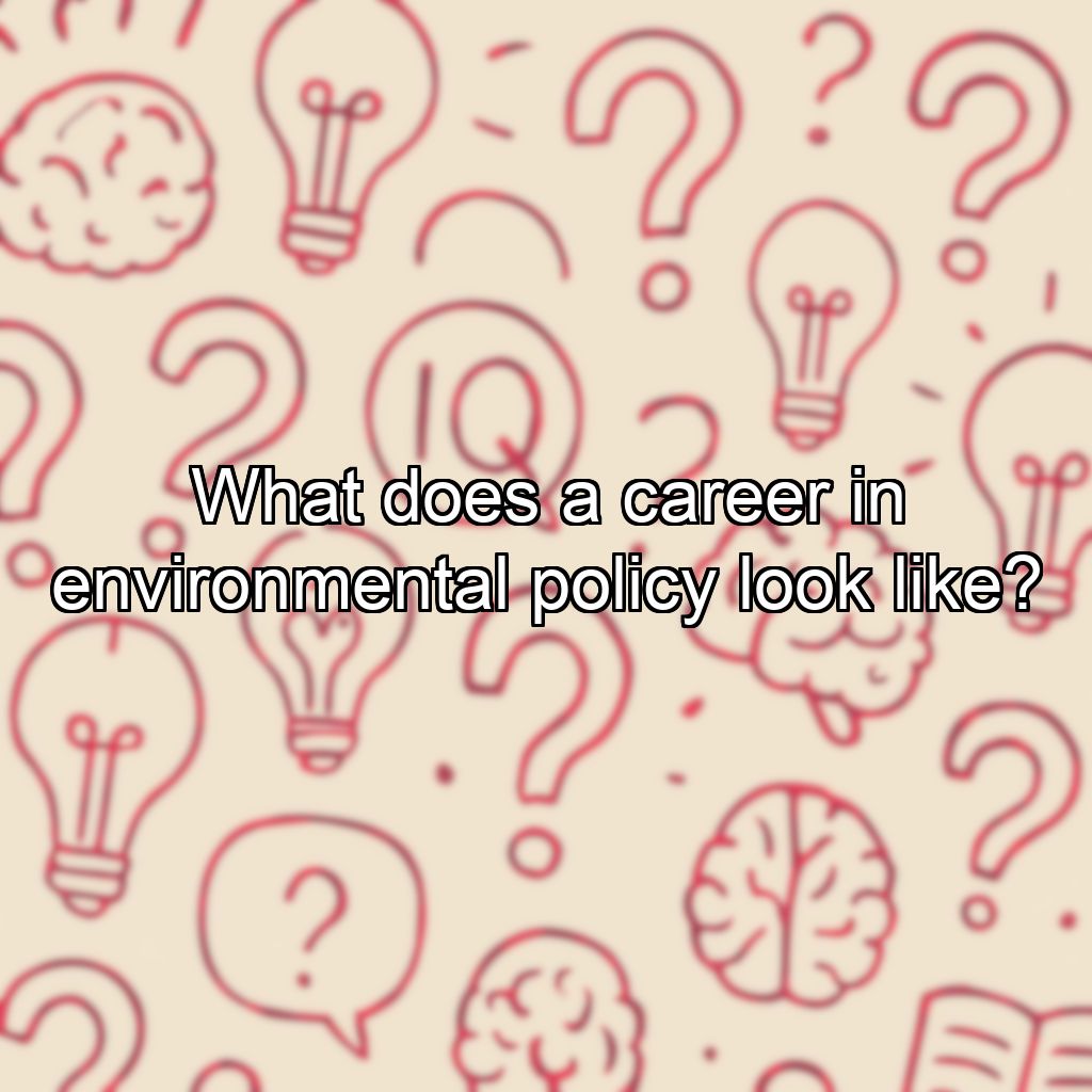 What does a career in environmental policy look like?