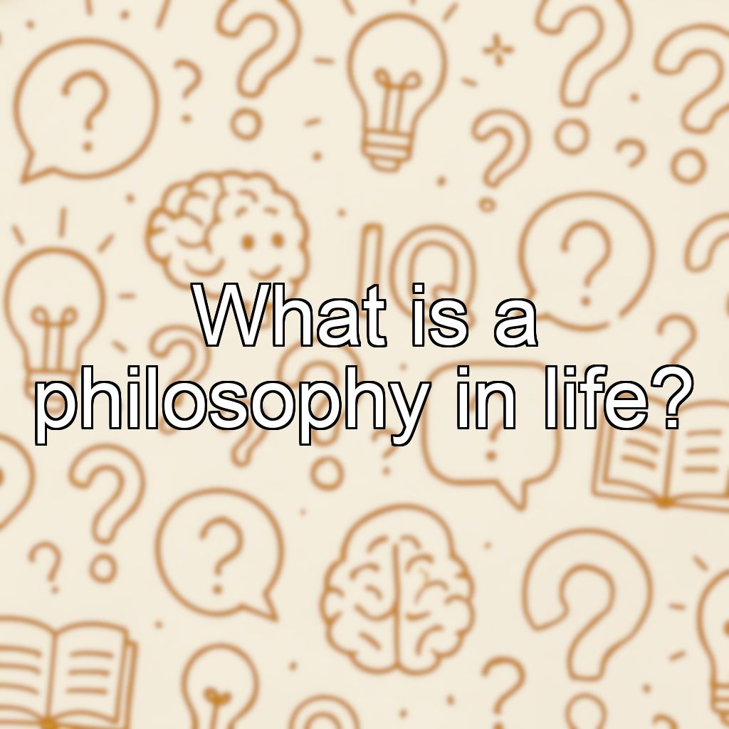 What is a philosophy in life?