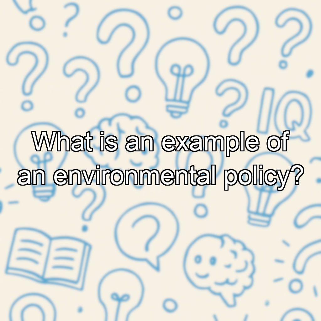 What is an example of an environmental policy?