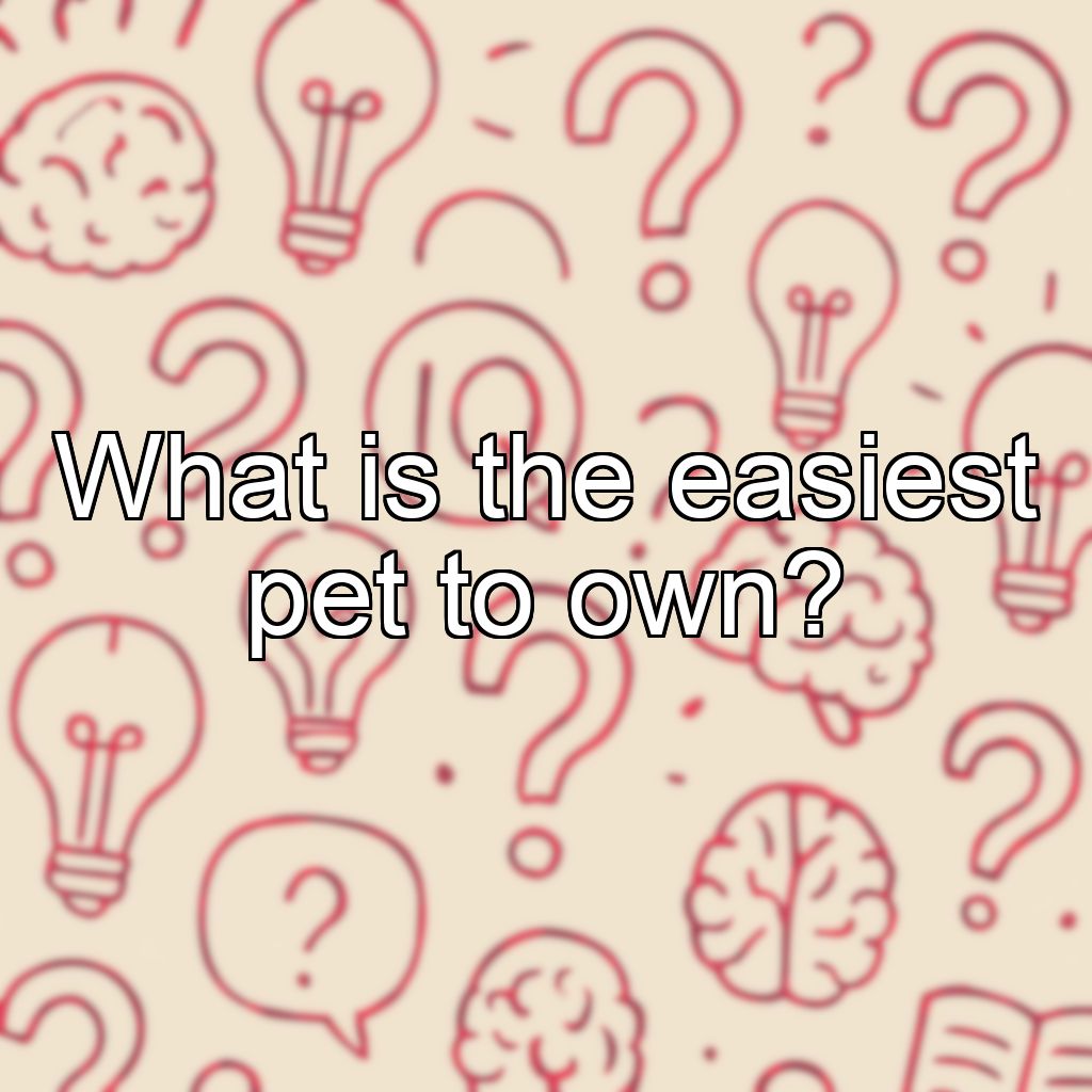 What is the easiest pet to own?