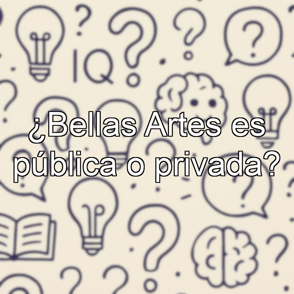 ¿Bellas Artes es pública o privada?