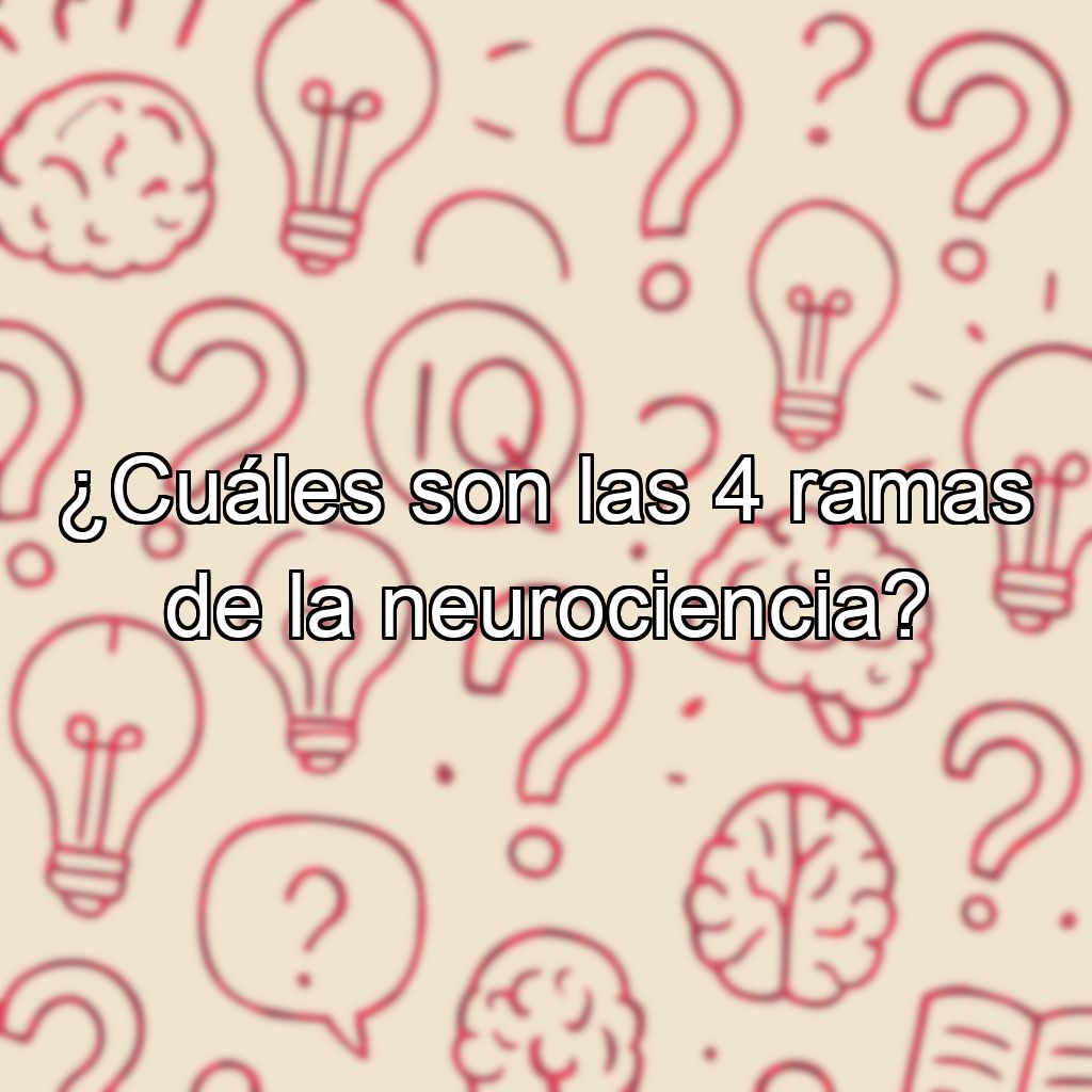 ¿Cuáles son las 4 ramas de la neurociencia?