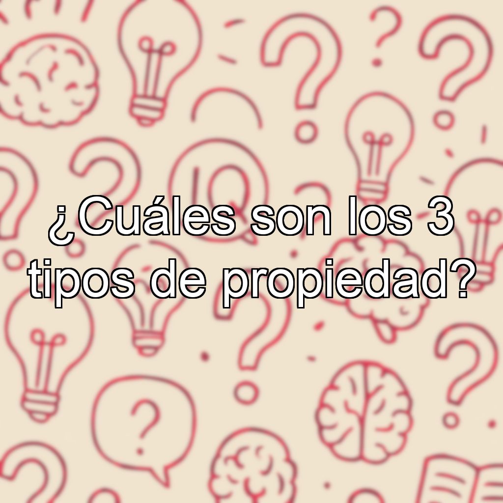¿Cuáles son los 3 tipos de propiedad?