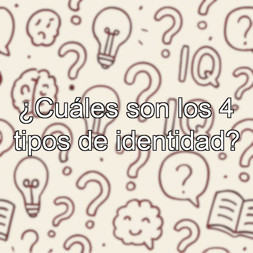 ¿Cuáles son los 4 tipos de identidad?