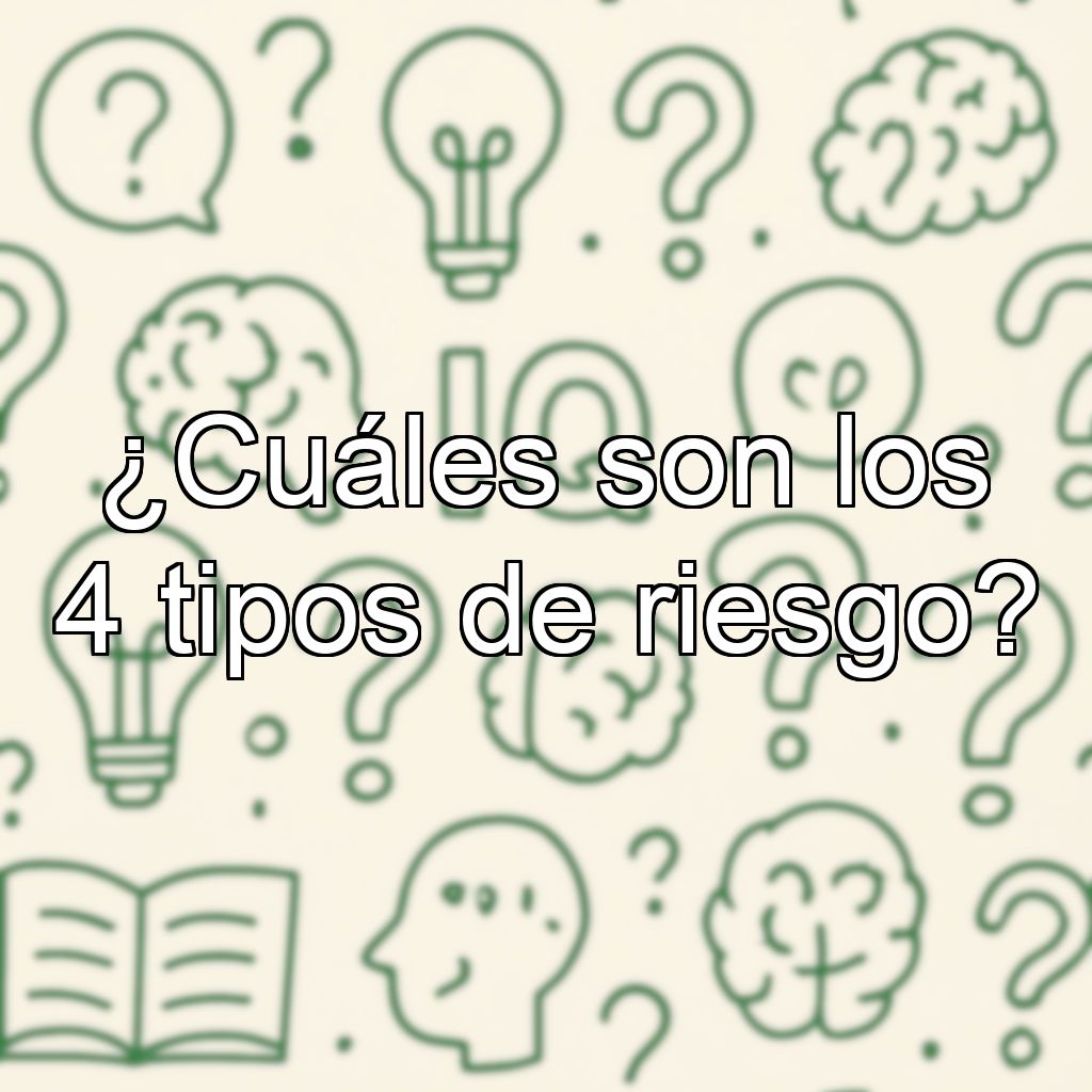 ¿Cuáles son los 4 tipos de riesgo?