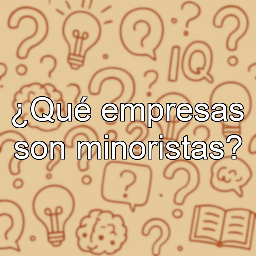 ¿Qué empresas son minoristas?