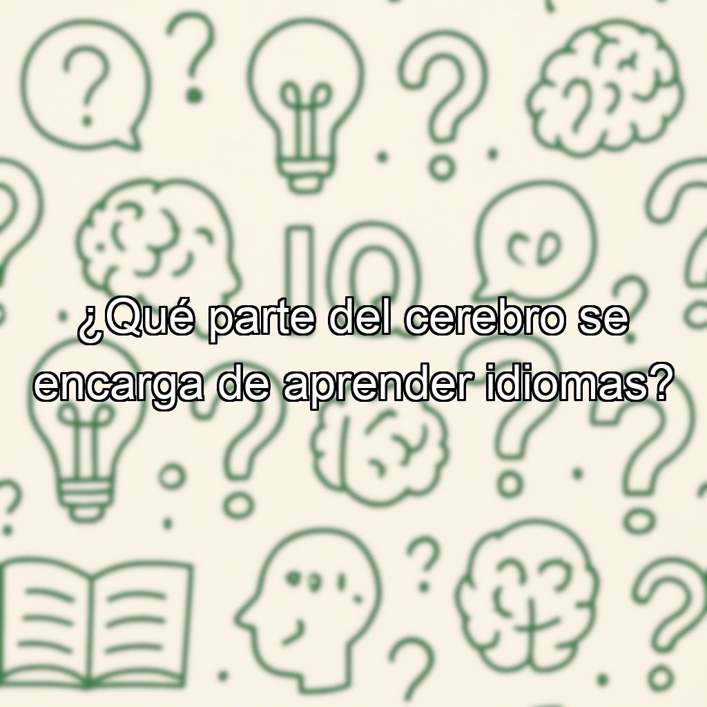 ¿Qué parte del cerebro se encarga de aprender idiomas?
