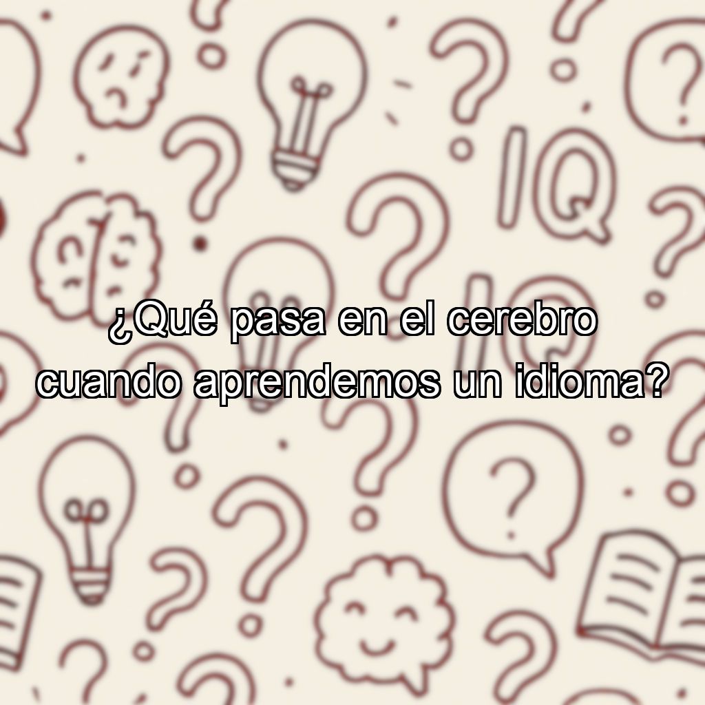 ¿Qué pasa en el cerebro cuando aprendemos un idioma?