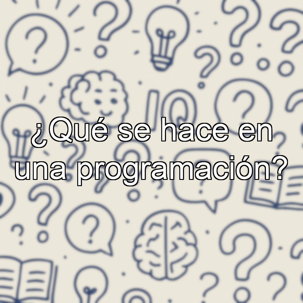 ¿Qué se hace en una programación?