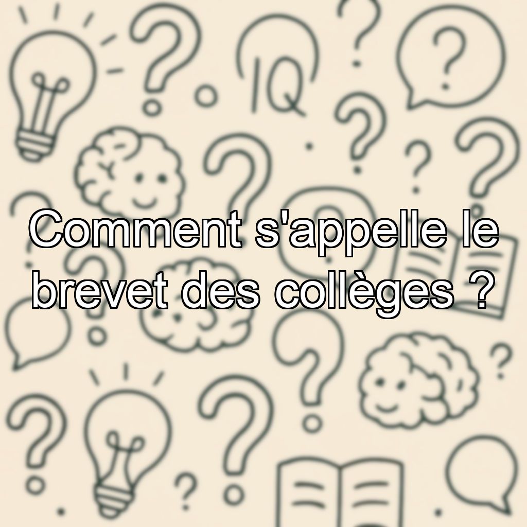 Comment s'appelle le brevet des collèges ?